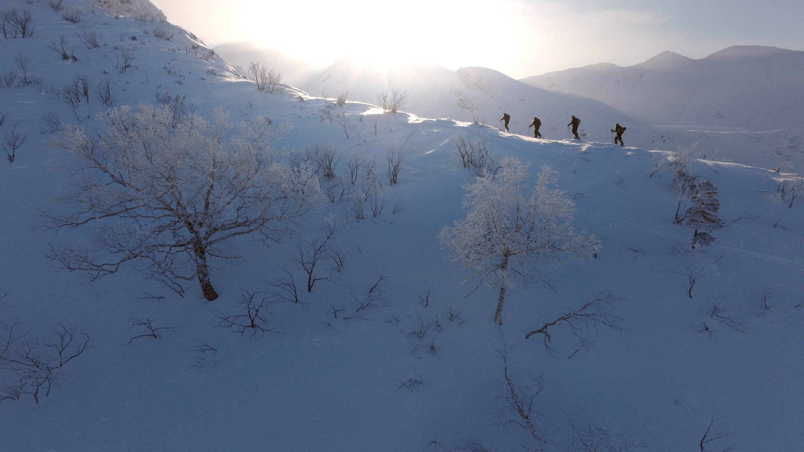 COLD CALLS - Japan - FOTO_7