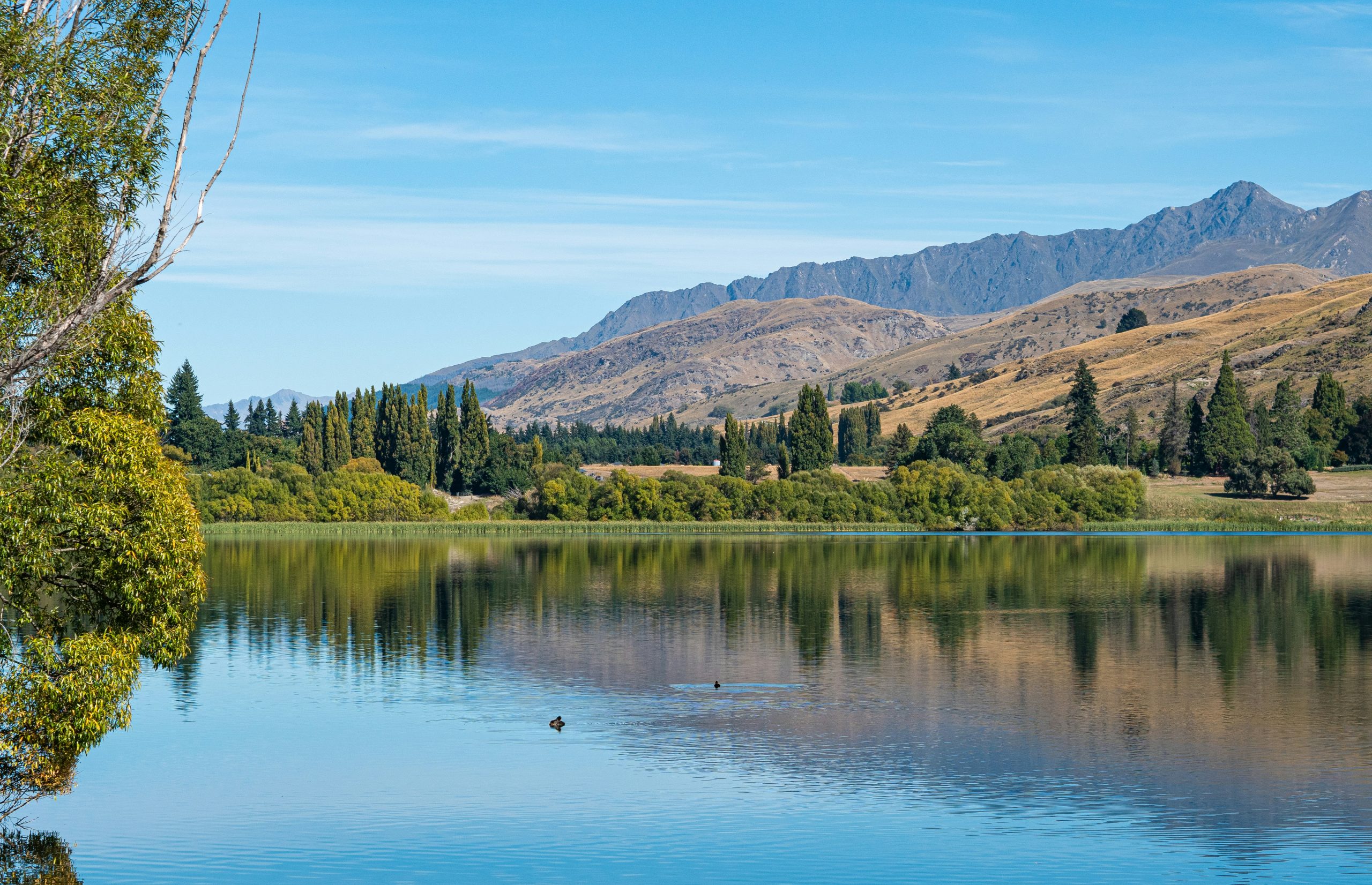 AllTrails_Queenstown1