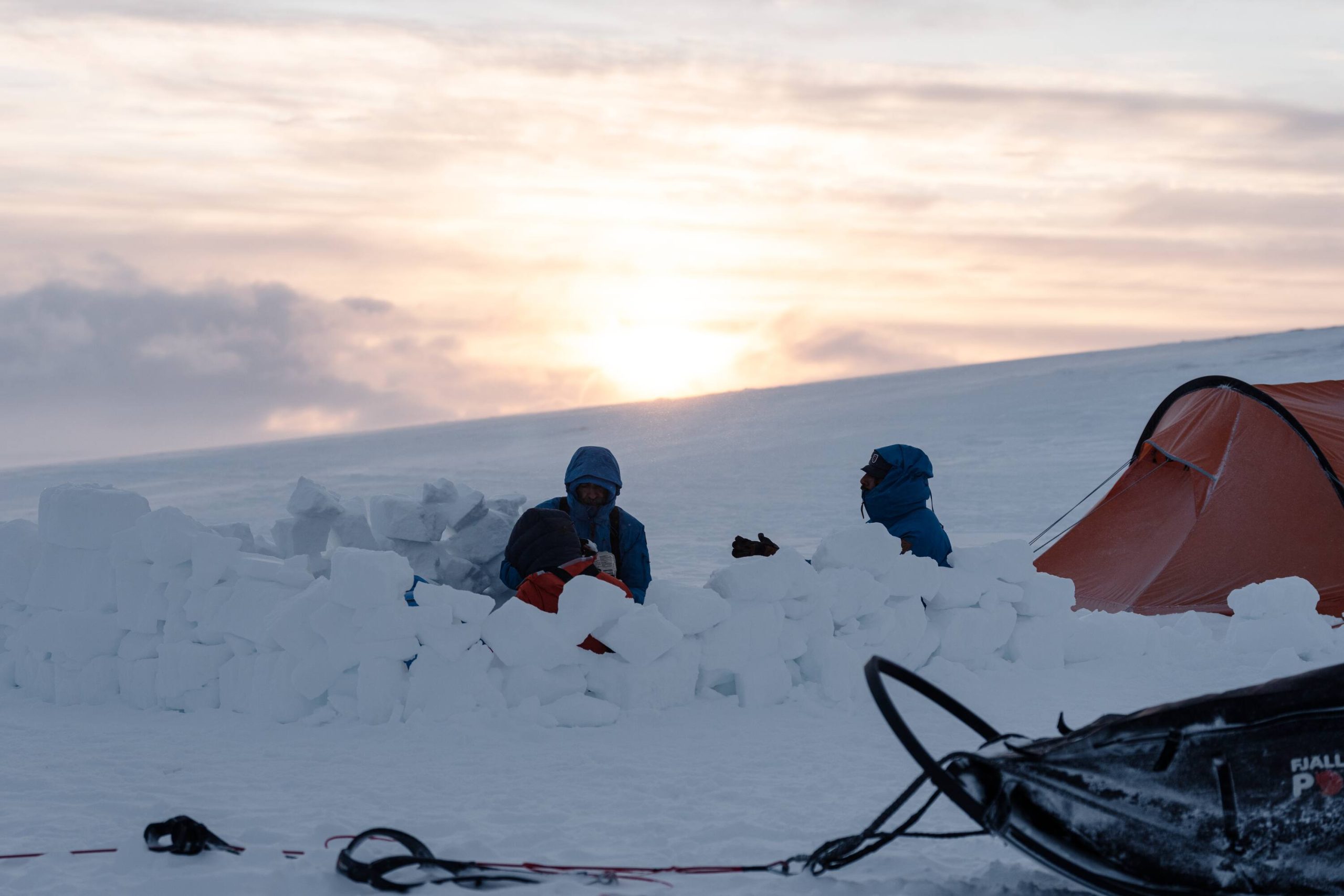 FJR_2025_Polar_207485